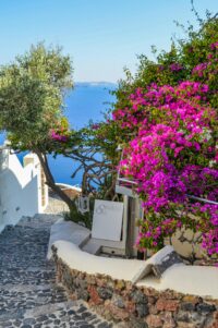 Sail in Greece - Santorini (30 May - 6 June 2026) - Image 4